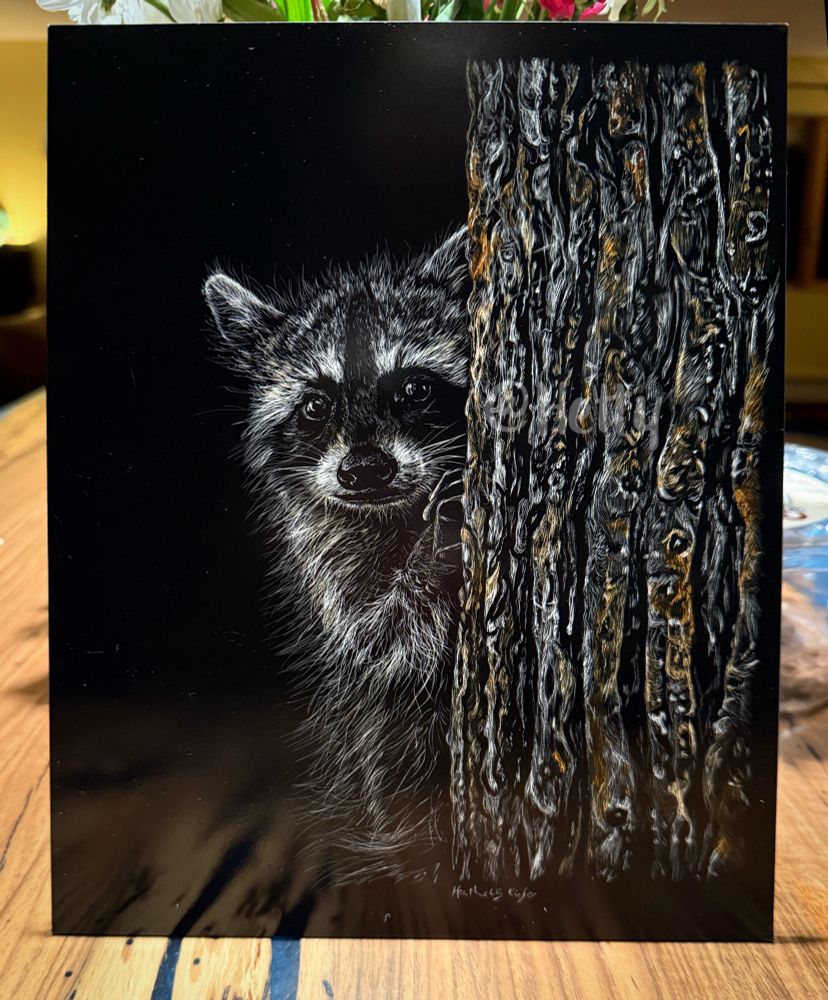 Scratchboard drawing of a little raccoon peeking around a tree trunk