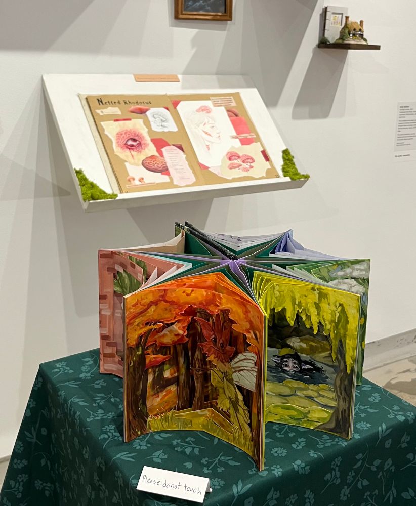 An image of two different art books. The book in the foreground is a star shaped book with layered scenes of faeries. One scene is an autumnal forest with a maple leaf fairy, and the other is a green swampy scene with a creature emerging from the water. Each page of this book is a different color scheme for each color of the rainbow. The book in the background is open on a page about the Netted Rhodotus mushroom, and has illustrations of this bright pink mushroom.