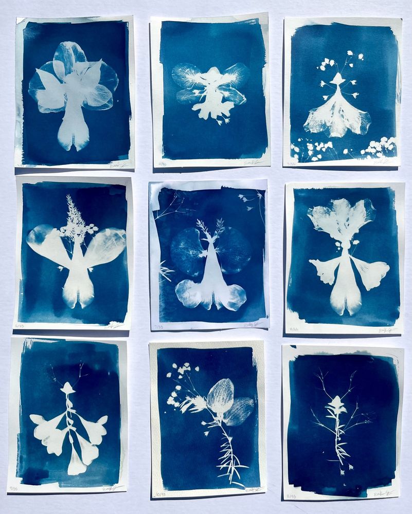 An image of 9 dark blue and white cyanotypes. Depict various fairy creatures made of different plants.