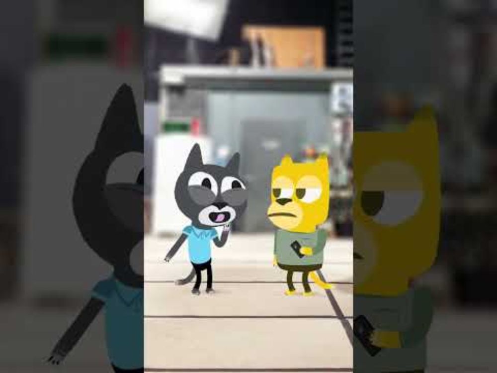 Cat Content - Wifi Password #animation #funny #cartoon #comedy