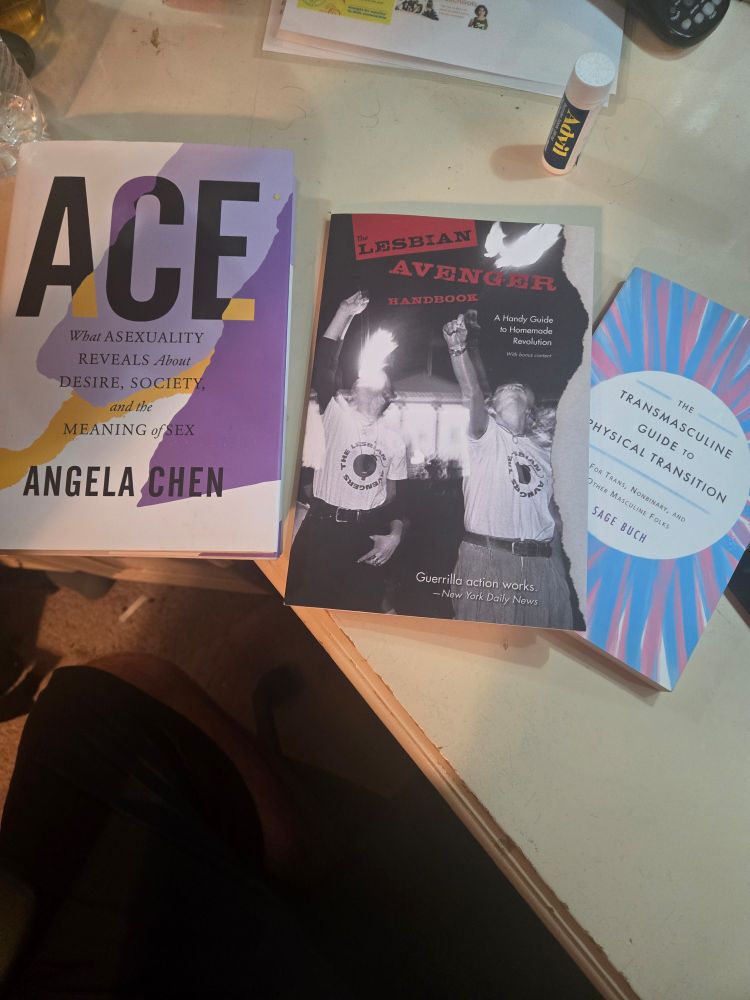 Ace by Agenla Chen, The Lesbian Avengers Handbook edited by Kelly Cogswell, The Transmasculine Guide to Physical Transition by Sage Buch