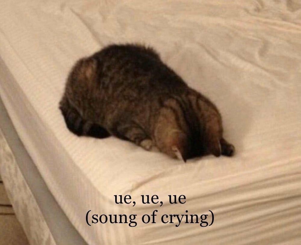 image of a cat lying on a bed with its head down with the caption ue, ue, ue (soung of crying)