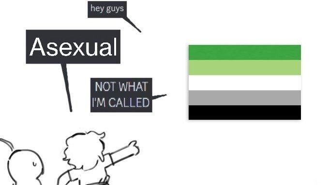 Meme with the Aromantic flag saying "hey guys" being pointed at and called "Asexual", responding with "not what I'm called"