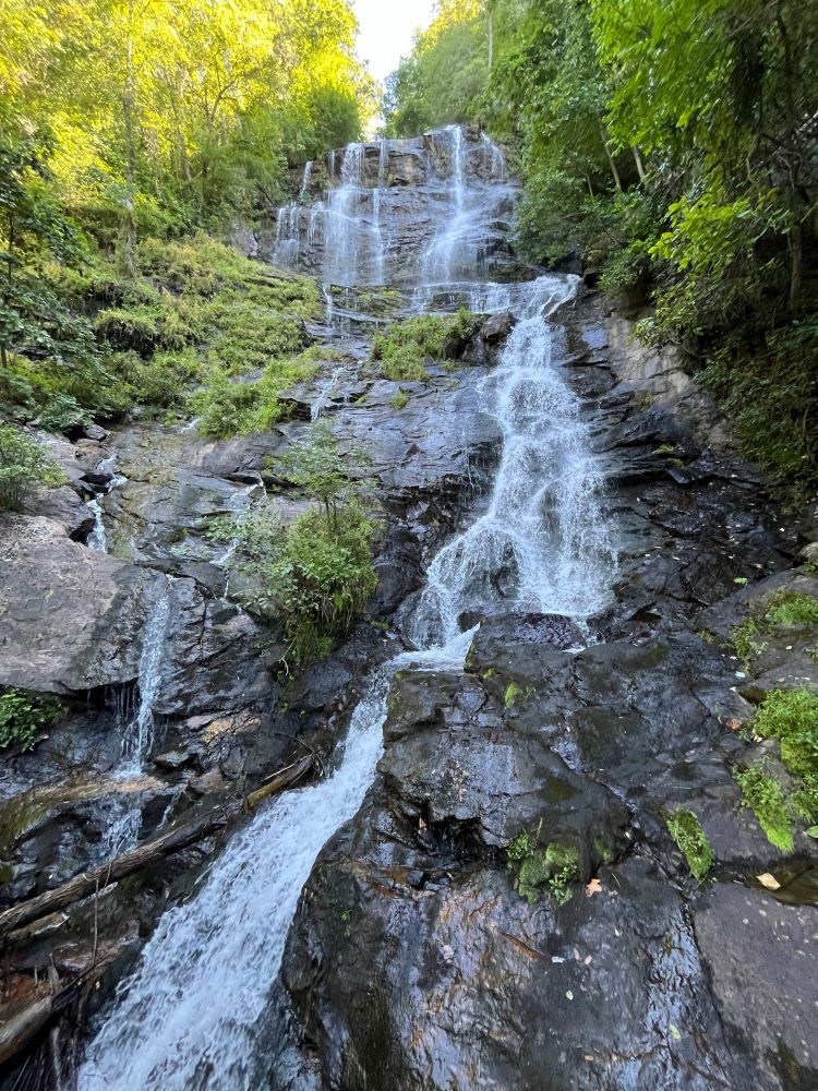 Looking up a waterfall. It’s tumbling down a Rocky Mountain wall with green trees and moss around. It goes higher than what shows in the photo
