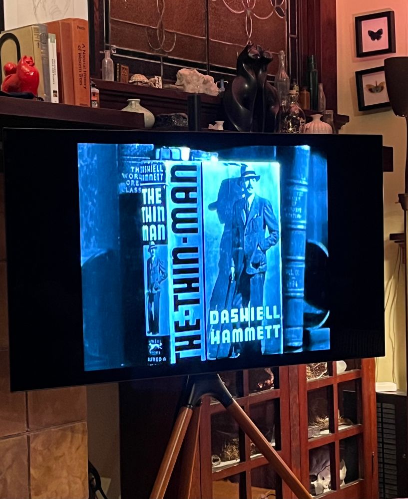 The Thin Man on a screen in a living room.