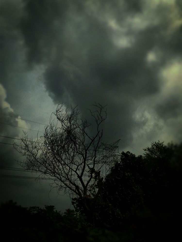 Darkened cloudy sky over a treeline
