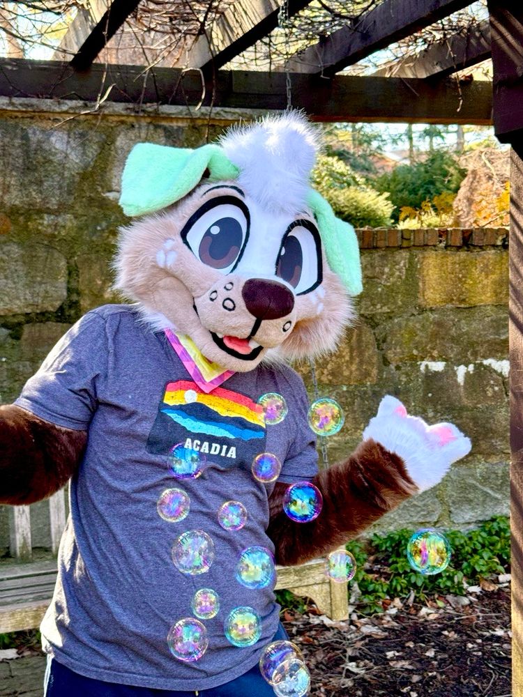 Photo of a happy dog fursuit with bubbles