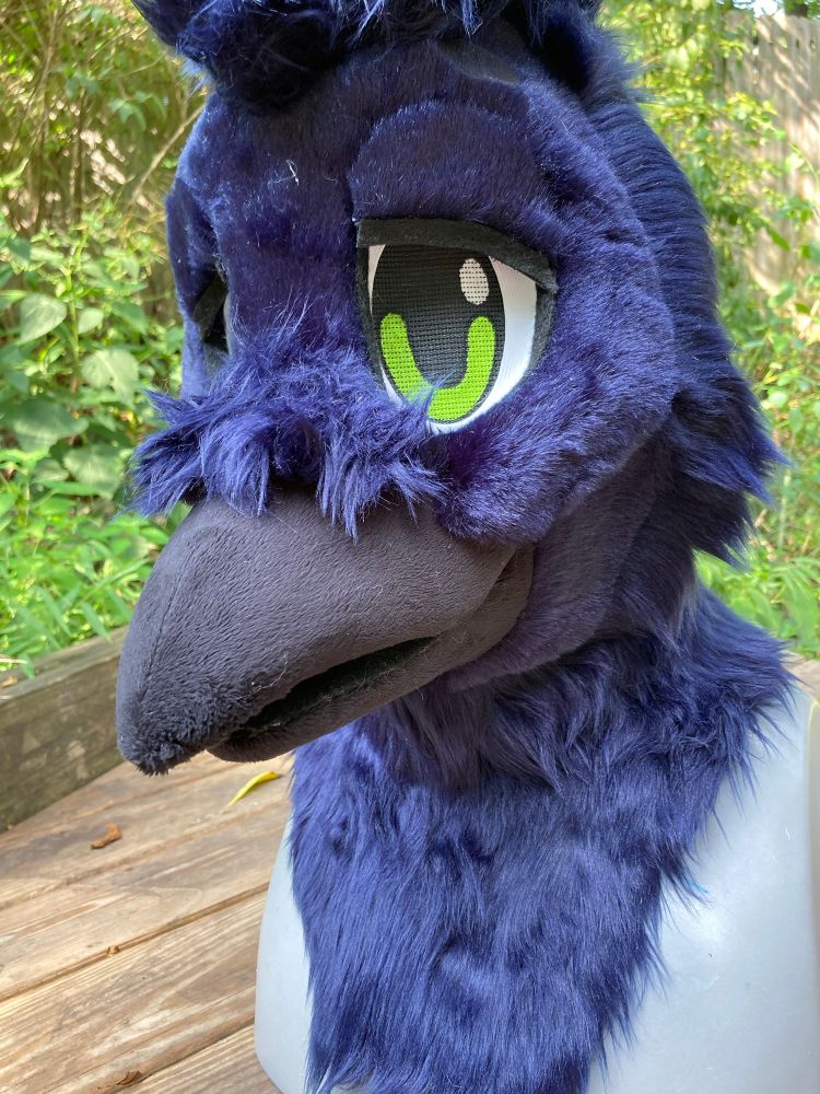 Photo of a raven fursuit head outside