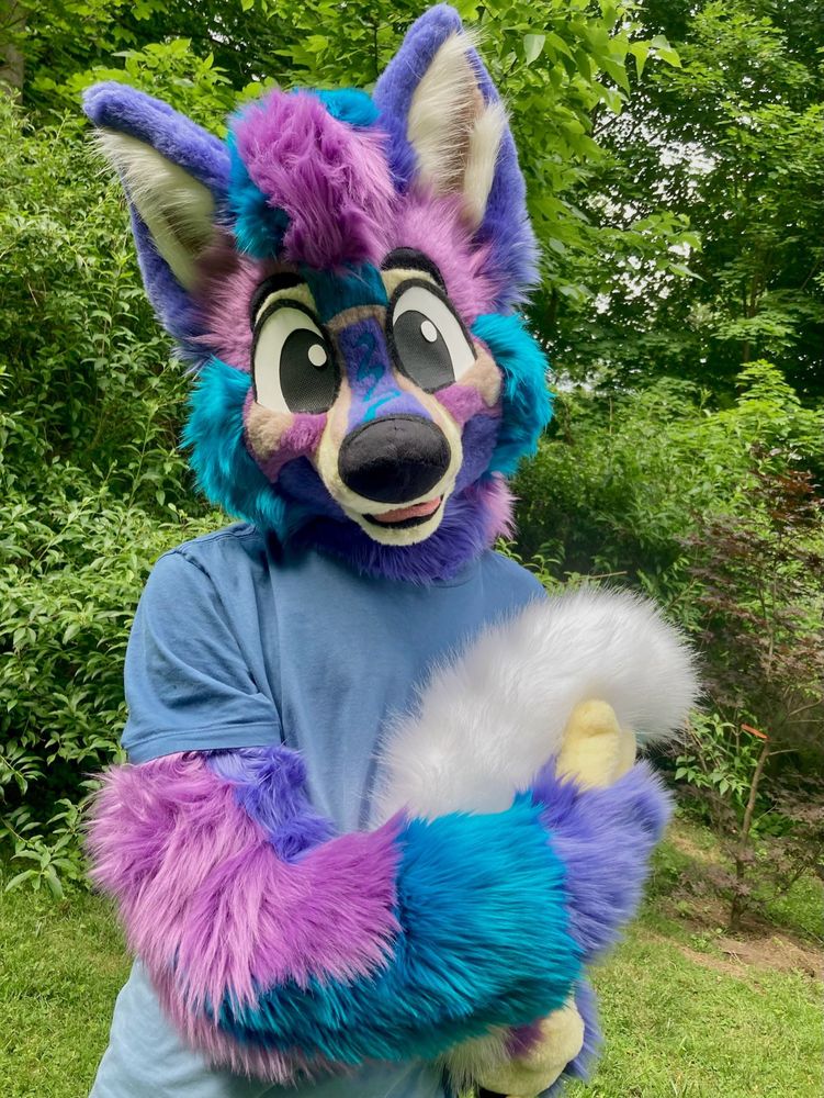 Photo of a happy toony purple wolf fursuit outside hugging their tail