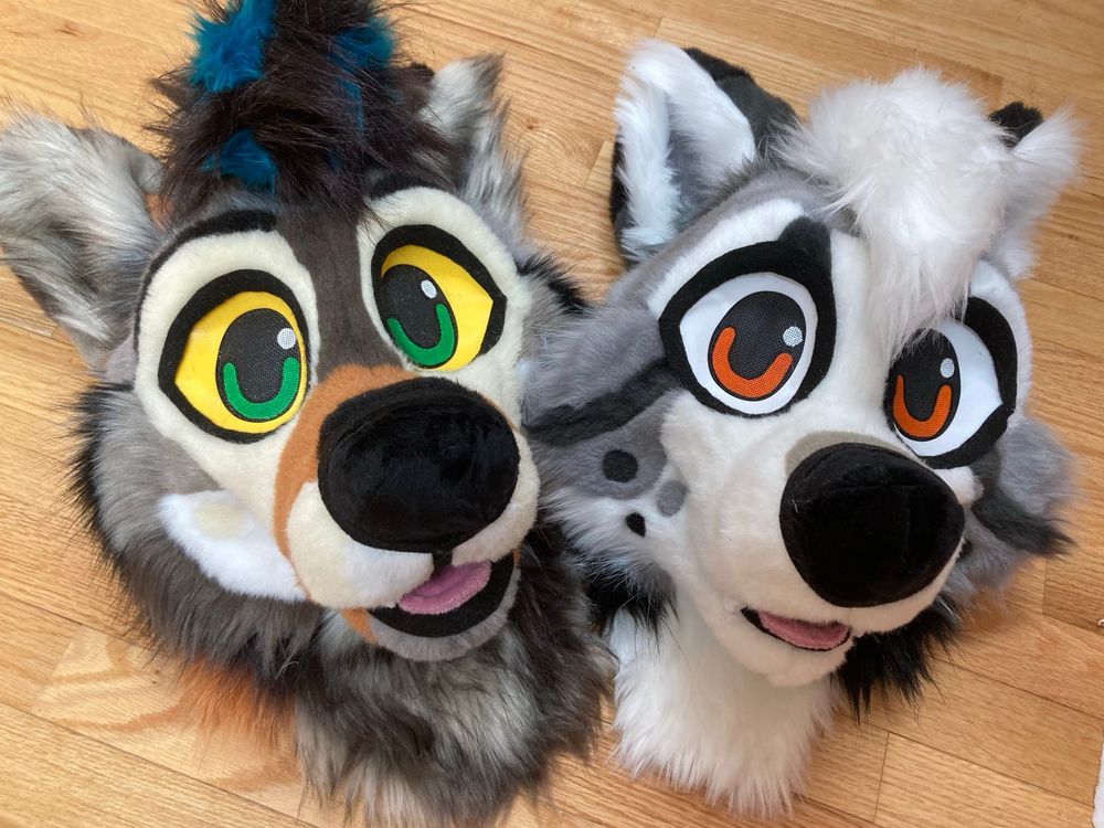 Photo of a wolf fursuit head and a fox fursuit head on a floor