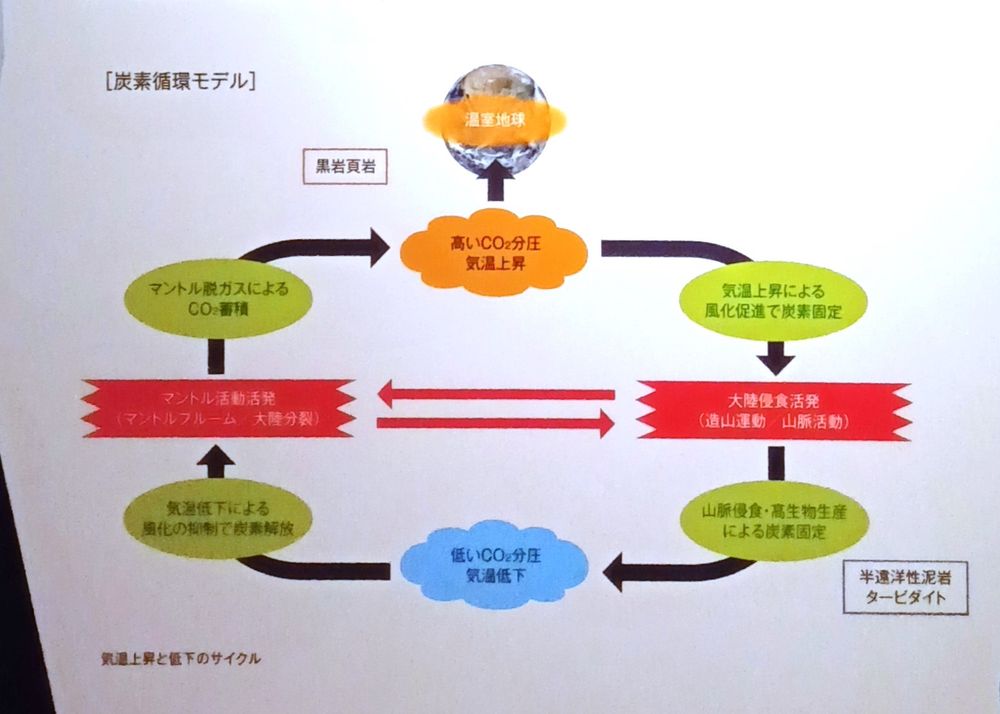 「炭素循環モデル」パネル展示

「マントル活動活発（マントルプルーム　大陸分裂）
　　　↓　マントル脱ガスによるCO2蓄積
　高いCO2分圧　気温上昇
　　　↓　気温上昇による風化促進で炭素固定
　大陸侵食活発（造山運動　山脈活動）
　　　↓　山脈侵食・高生物生産による炭素固定
　低いCO2分圧　気温低下
　　　↓　気温低下による風化の抑制で炭素解放
　（再び「マントル活動活発」に戻る）」