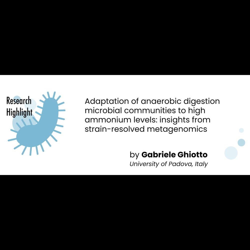 Gabriele Ghiotto - Adaptation of Anaerobic Digestion Microbial Comm. to High Ammonium | S03 MVIF23