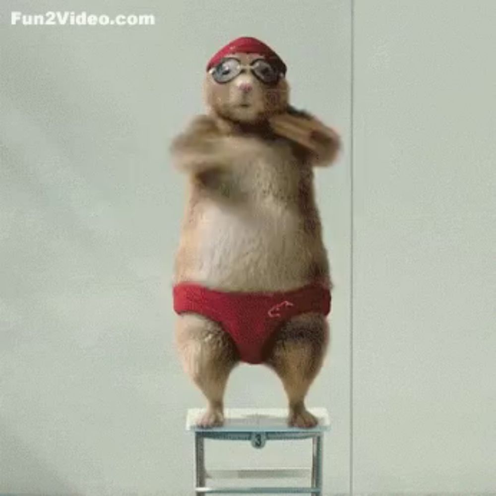 a hamster wearing a red swim cap and red underwear is standing on a stool .