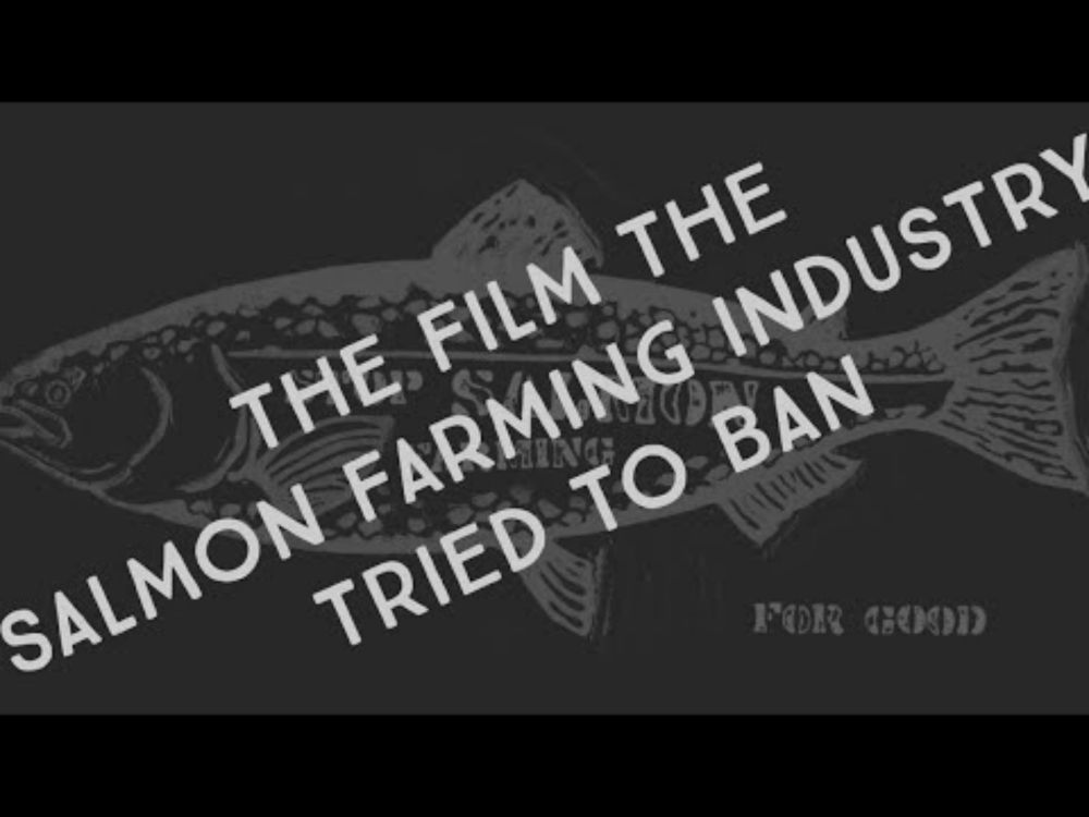 Stop Salmom Farming, For Good (FEATURE FILM)