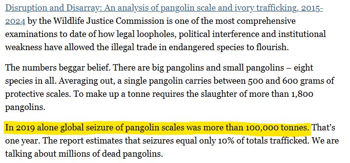 Screenshot text: "Disruption and Disarray: An analysis of pangolin scale and ivory trafficking, 2015-2024 by the Wildlife Justice Commission is one of the most comprehensive examinations to date of how legal loopholes, political interference and institutional weakness have allowed the illegal trade in endangered species to flourish.

The numbers beggar belief. There are big pangolins and small pangolins – eight species in all. Averaging out, a single pangolin carries between 500 and 600 grams of protective scales. To make up a tonne requires the slaughter of more than 1,800 pangolins. 

In 2019 alone global seizure of pangolin scales was more than 100,000 tonnes. That’s one year. The report estimates that seizures equal only 10% of totals trafficked. We are talking about millions of dead pangolins."
