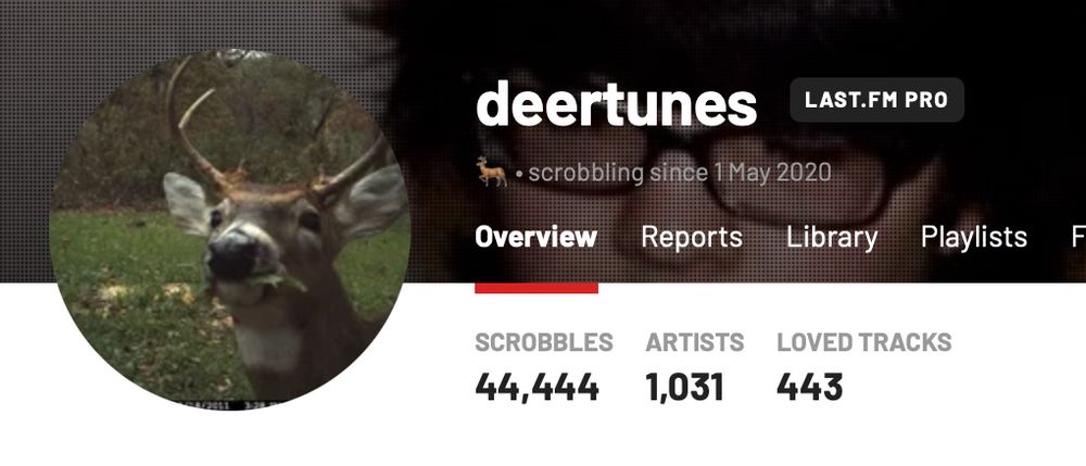 44,444 scrobbles on my LastFM deertunes account