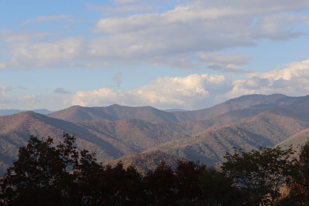 fall foliage on mountains 
