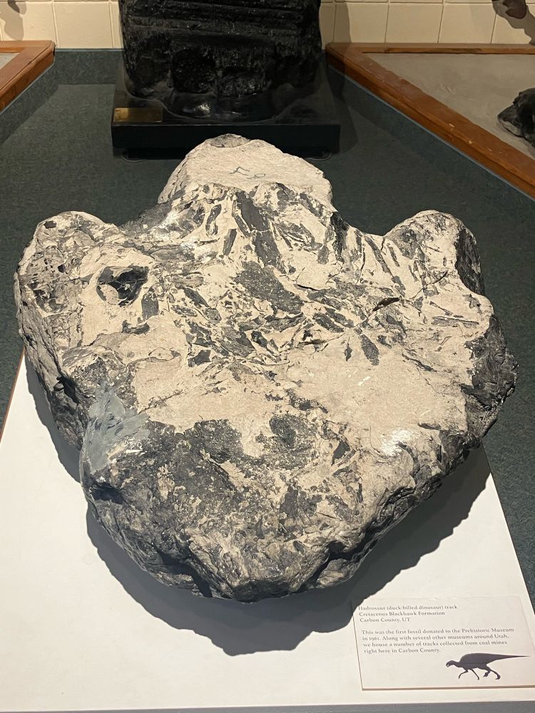 A coal-colored rock shaped like an inflated three-toed track. It has some leafy impressions across its surface and a dusting of dirt 