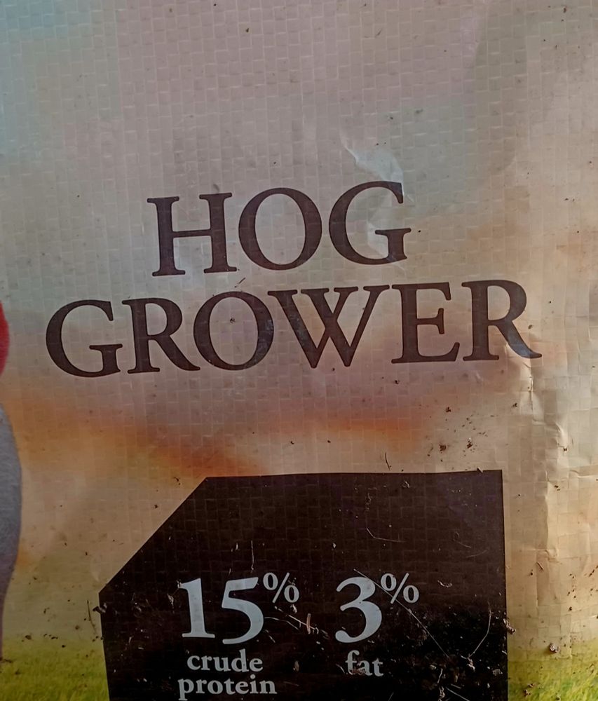 A pic of the side of a feed bag.

It says, "HOG GROWER"

"15% crude protein, 3% fat"