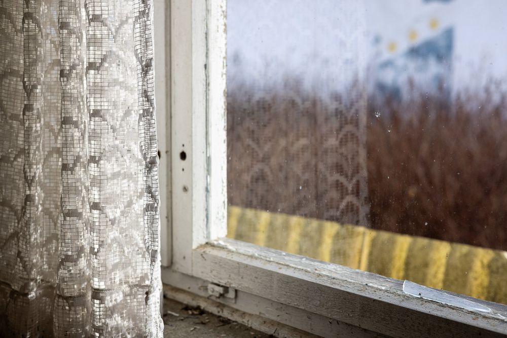 Curtains to the left of a shabby window reflected gently in the glass with a shot of yellow outside complementing brown bushes and giving an otherwise somber scene a sense of optimism.
