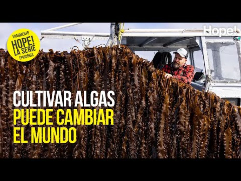 De la pesca de arrastre a la agricultura marina regenerativa. Bren Smith y el futuro del océano.