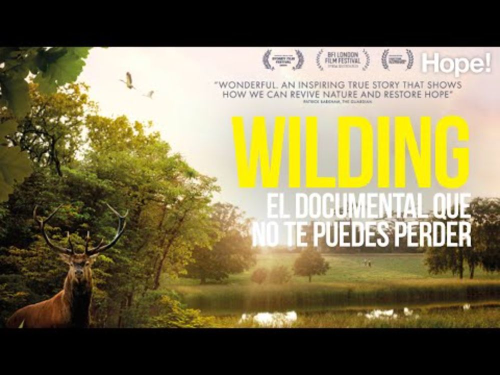 Cómo el rewilding transformó su tierra. De erial a explosión de vida.