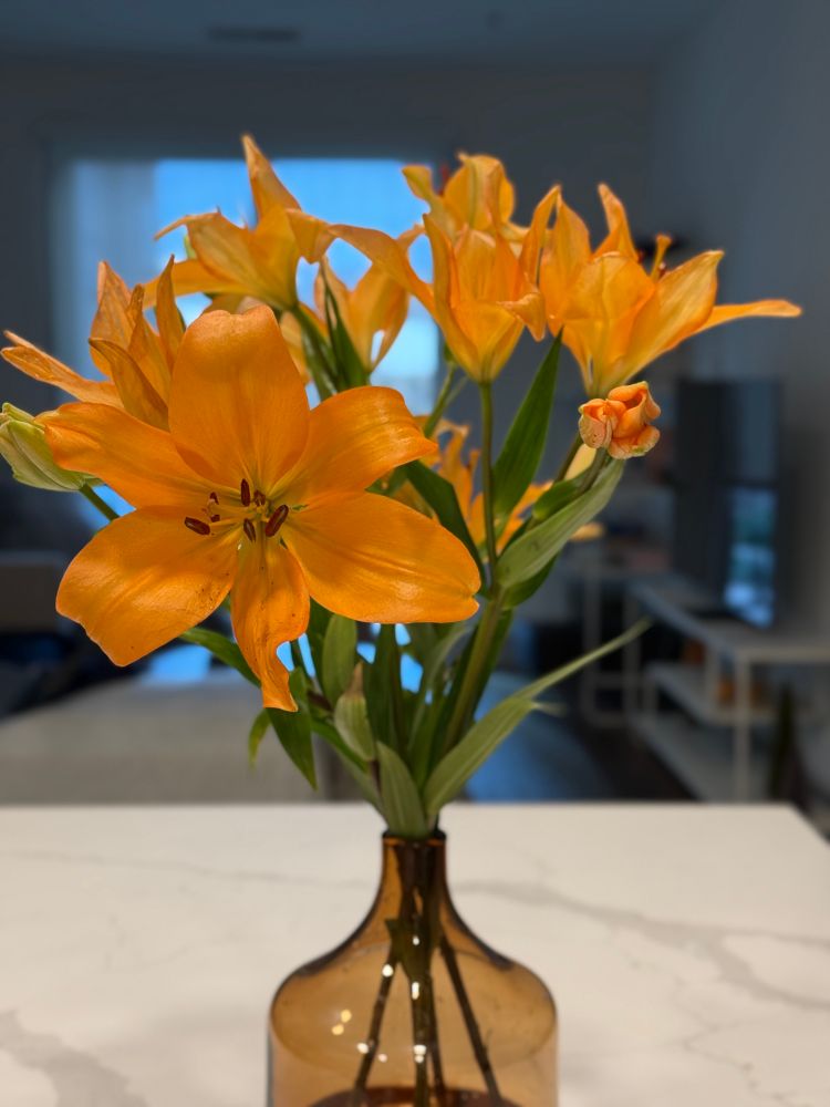 Orange lilies in a tinted brown vase