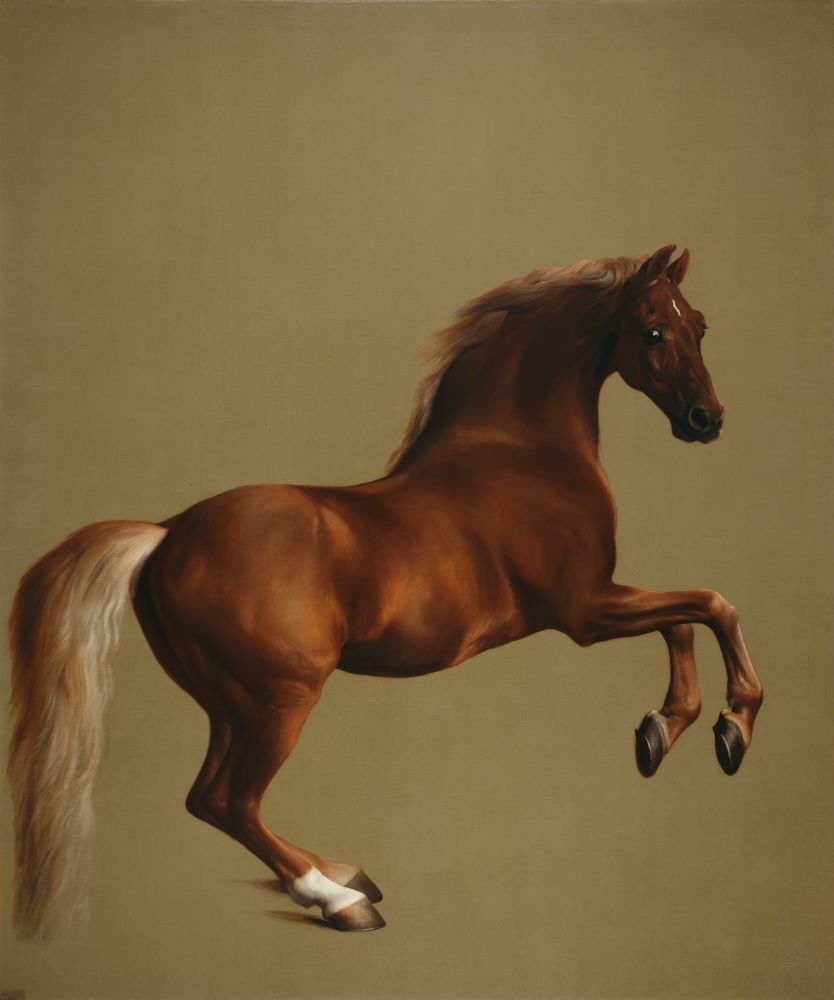 Whistlejacket: acclaimed 18th Century thoroughbred racehorse, owned by the 2nd Marquess of Rockingham & mentioned in Goldsmith’s She Stoops to Conquer; powerful life-size painting c. 1762 by George Stubbs, preeminent English equine artist, born #OTD 1724.
National Gallery