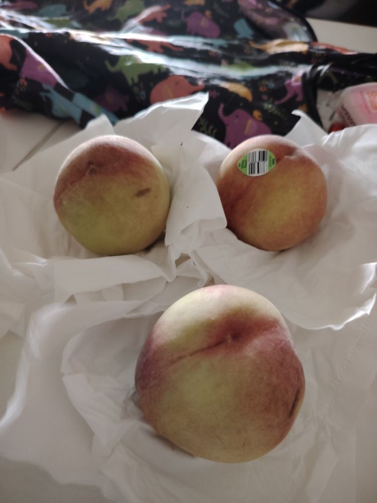 3 Australian White peaches on tissue (to ripen)