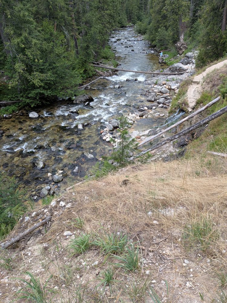 Photo of hot springs flowing into a creek near Jerry Johnson hot springs