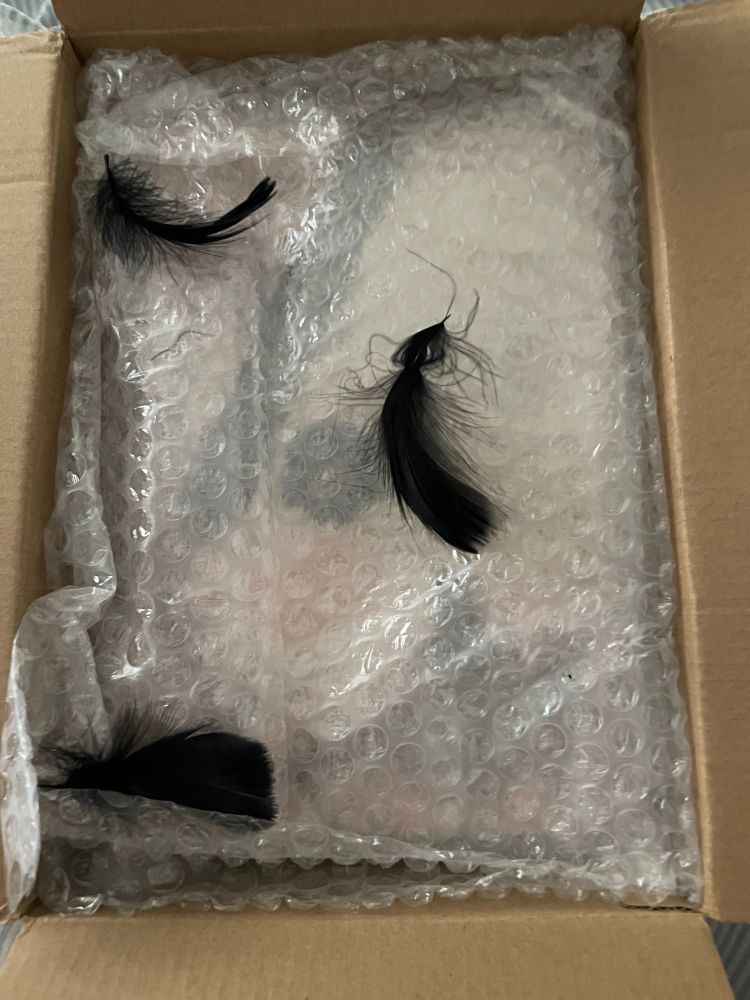 An open box with three small black feathers scattered over bubble wrap concealing the box’s main contents. One of the book’s two main characters occasionally consorts with ravens.