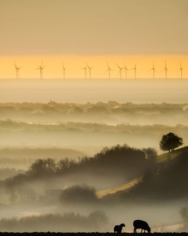 Two sheep grazing on the hillside over a misty stretch of the South Downs looking towards the Rampion Windfarm at sea