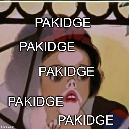 Same image of Snow White’s face against glass, but with 5 instances of “Pakidge”