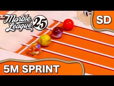 MARBLE LEAGUE 2025 - E5 5 meter Sprint | Jelle's Marble Run