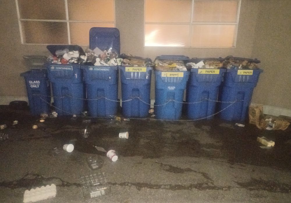 Six blue, plastic recycling wheelie bins overflowing with weeks-worth of glass, containers and paper.