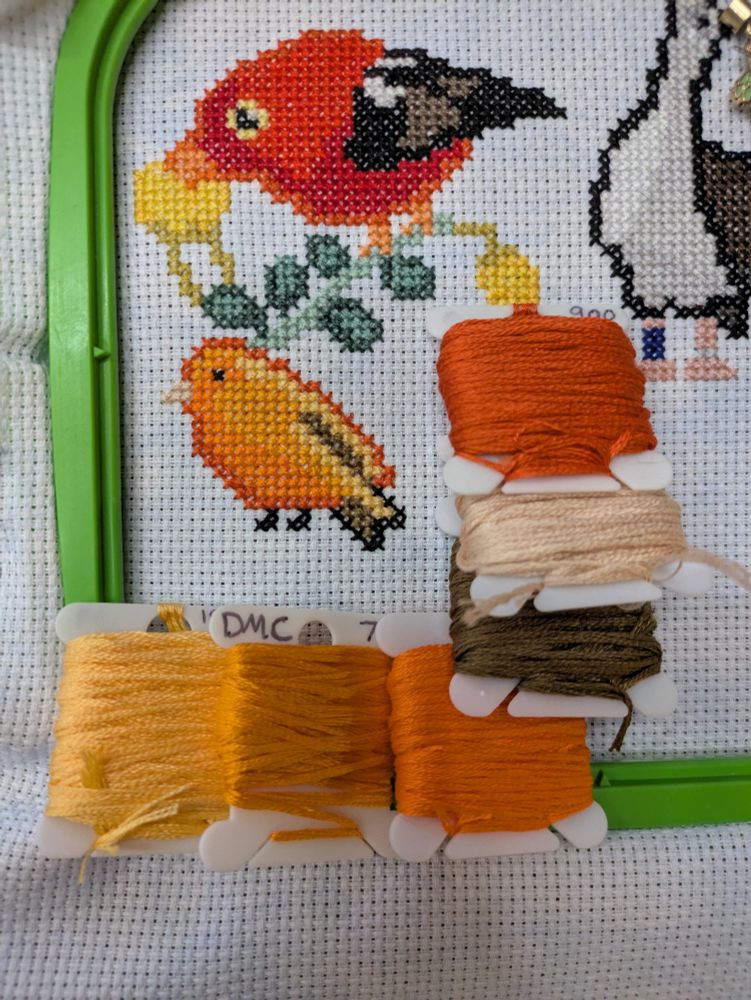 A cross stitch project featuring the birds of Hawaii. Today is the Hawaii Akepa, a small very orange bird. 
There are also some bobbins framing it.