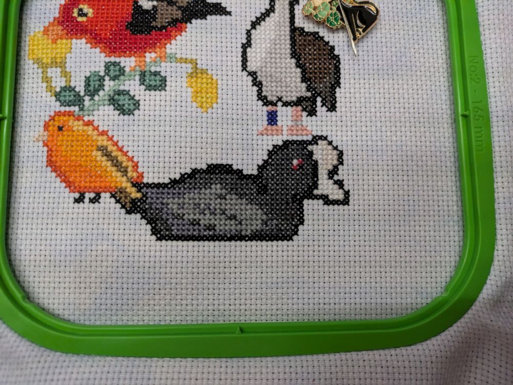A cross stitch of a Hawaiian coot, sorry no stitched feet. Maybe one day. 