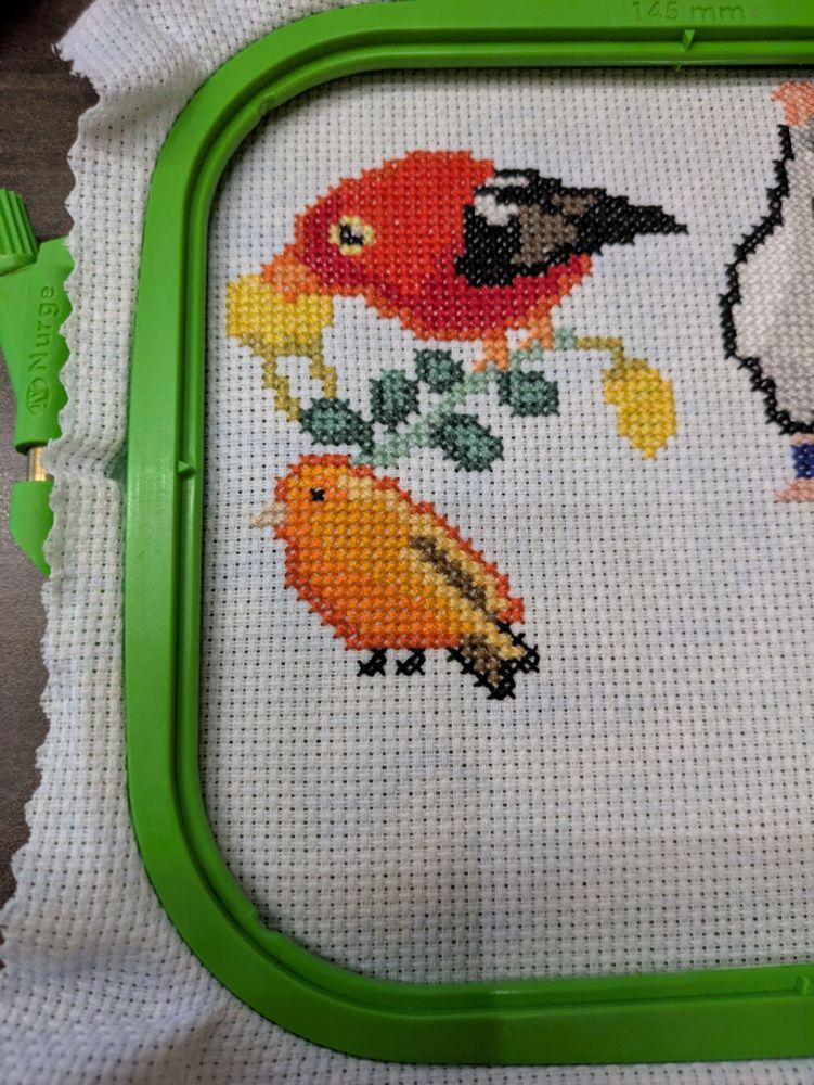 A cross stitch project featuring the birds of Hawaii. Today is the Hawaii Akepa, a small very orange bird. 