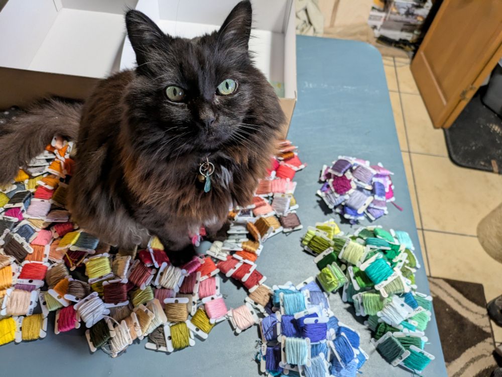 A fluffy black cat with light green eyes stares into your soul as he sits on a pile of embroidery thread.