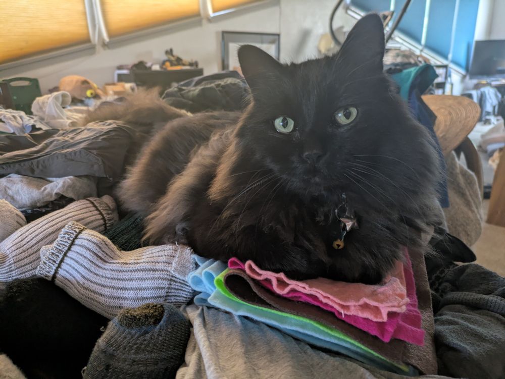 A fluffy black cat sits ontop of a sock and craft felt pile.