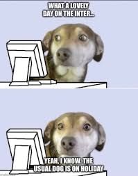 A dog reading a lovely day on the internet meme but with a different dog, explaining that the usual one in the meme is on holiday