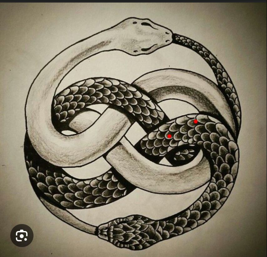 A drawing of two snakes eating each other's tails. 