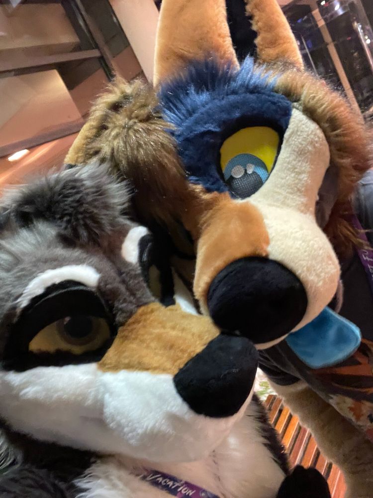 @searchercoyote.bsky.social