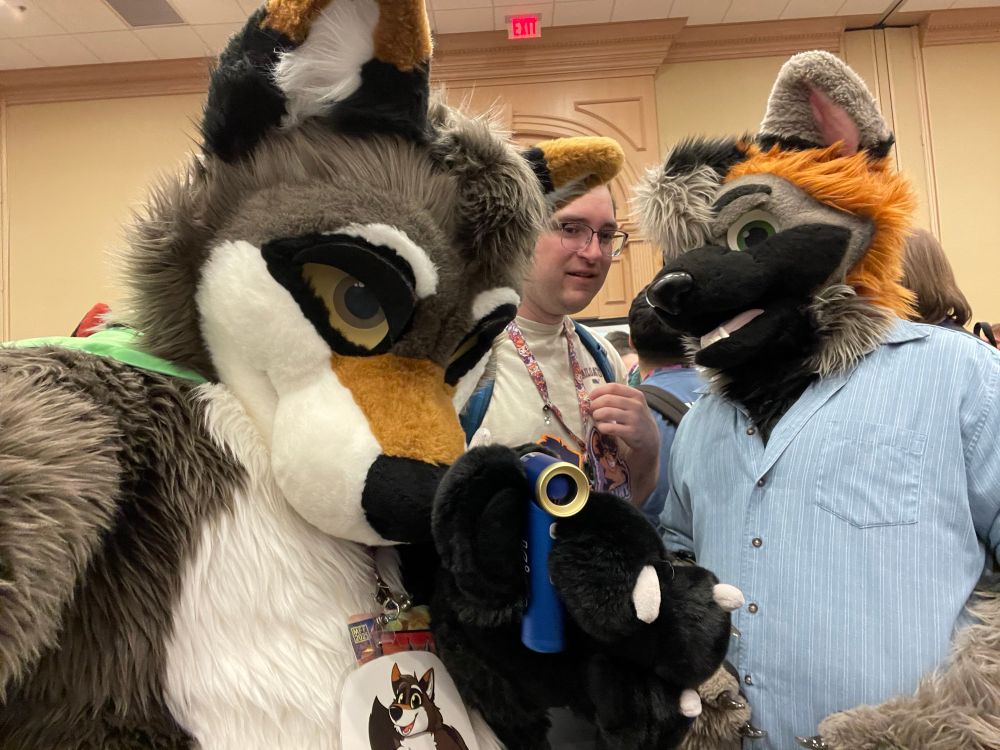 @rowelandfox.bsky.social