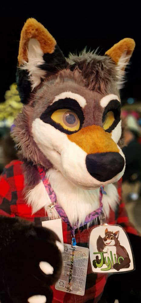 📍MFF2024