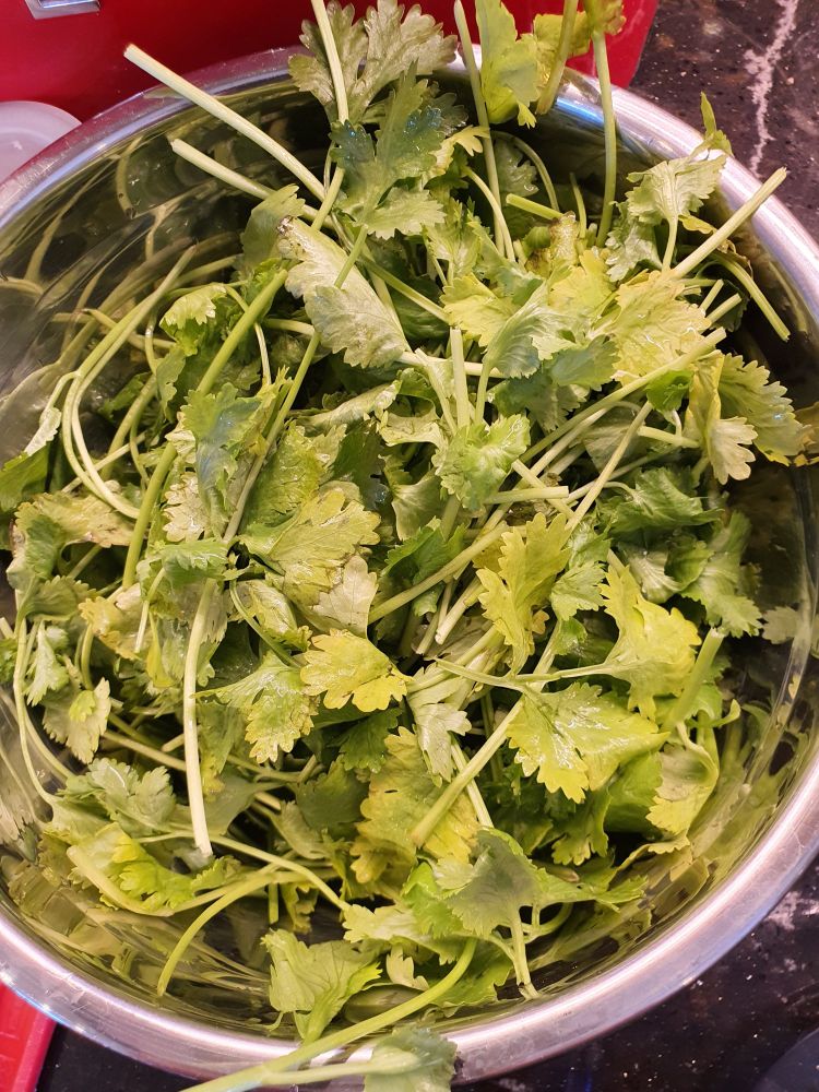A photo of a bowl full of coriander stalks