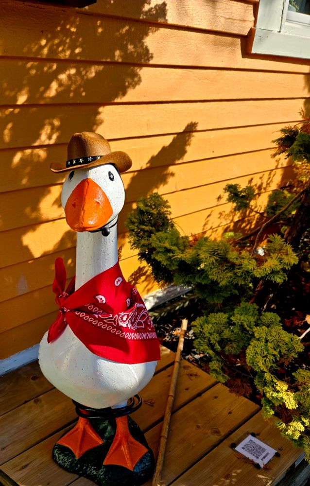 A goose statue dressed in a cowboy hat and a red neckerchief. 