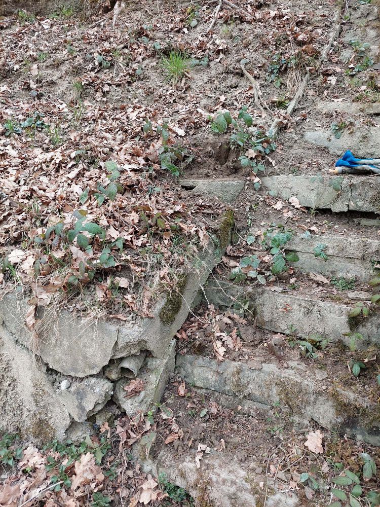 Die Steintreppe aus dem letzten Bild etwas näher. Circa ein meter über das heraustretende Rohr ist die Rundung einer kleinen Betonschacht mit Deckel ausgegraben worden. Auf der Treppe liegen blaue Handschuhe.