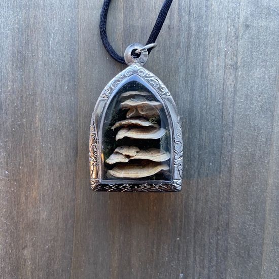 A necklace with a steel locker with preserved shelf fungus and moss inside it by Nivedita Sen.