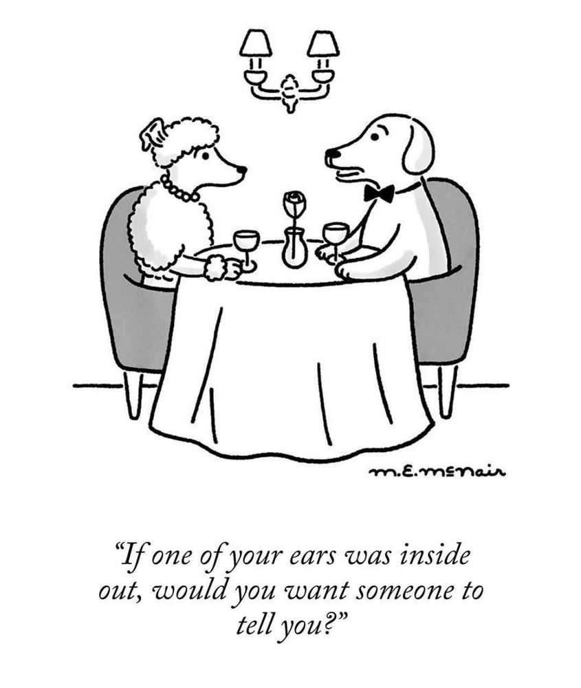 Dogs eating